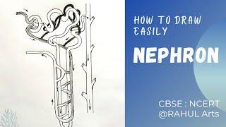 How to draw Nephron diagram | Class 10 | Biology |Science | CBSE syllabus | NCERT class 10