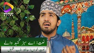 Naat : Aey Sabz Gumbad walay | Narrator Hafiz Muneeb Shakeel | Produced By WePlay Prime