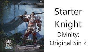  Basic Starter Knight in Divinity: Original Sin 2