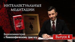 Интеллектуальные медитации. Видеокомментарий к Психософическому трактату: выпуск 4