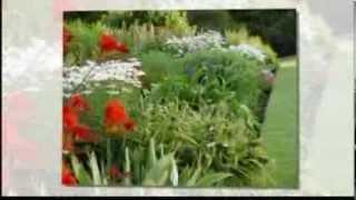 Garden Maintenance Services Weymouth Dorset | Garden Design | Garden Landscaping | Planting Schemes