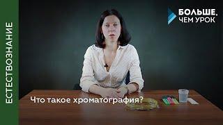 Разделяющая молекулы, объединяющая людей. Что такое хроматография