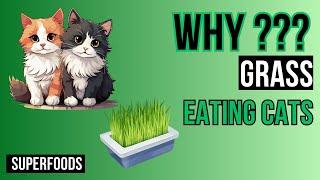 Why Do Cats Eat Grass ? WHY?