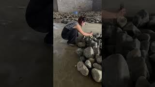 #手镯 #缅甸翡翠 #纯天然翡翠 #翡翠手镯 11张拿下玩满色手镯料