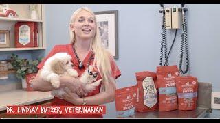 Nutritional Needs of a Growing Puppy | Stella and Chewys