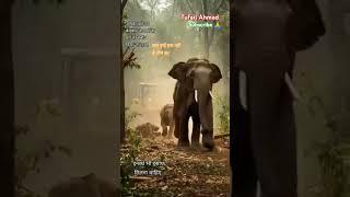 Ya Allah in bejuban par Raham farma #allah #help #hyderabad #jungle