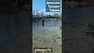 Девушка таскает тарань #рыбалка #рыбалка_в_каменском #verguntv #карась_на_фидер #весенний_клев