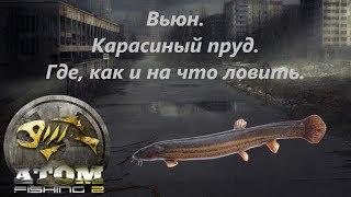 Atom Fishing II - Вьюн. Карасиный пруд. Где, как и на что ловить.