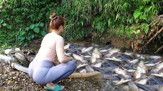 Fishing Techniques - Using pumps, pumping water outside the natural lake, Harvest a lot of big fish