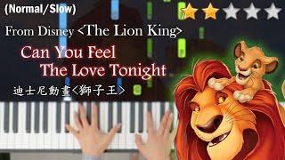 Can You Feel The Love Tonight－Elton John | From Disney《The Lion King》 | EASY Piano Tutorial Cover |