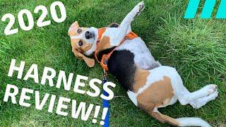 RUFFWEAR Dog Harness Review 2020!!