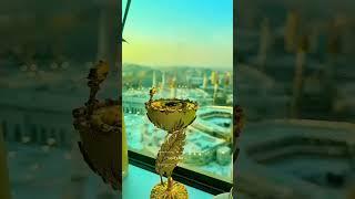 Shorts#videos#virls#fyp#fyp# Sajjad__786_25️️️