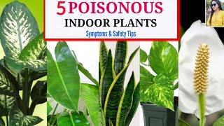 5 Poisonous Common Indoor Plants Name, Symptoms & Safety Tips