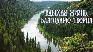 Лучшие стихи для души/ ВДЫХАЕМ ЖИЗНЬ. ЗА ВСЕ БЛАГОДАРЮ ТВОРЦА/ рассказываю любимую поэзию