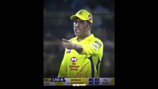 Easiest Decision Ever  #shorts #viral #trending #cricket #msdhoni