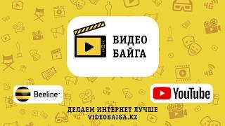 Билайн "видеобайга" (аварии, драки, талантливые бомжы, Шамал шоу, Shamal Show)