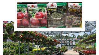 Home Depo Mid Summer Display + Gardening for Fall Tips