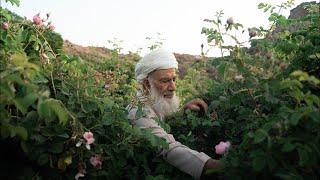 The Guardians of the Rose's Secret (Oman)