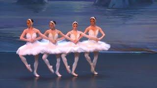 Kyiv Grand Ballet gives final performance on French tour as war rages | AFP