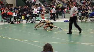 Section V State Qualifier Wrestling - Webster Vs. Brockport