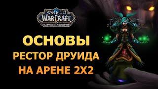 Рестор Друид основы на арене 2х2 / World of Warcraft BFA / Часть I / Дилайт