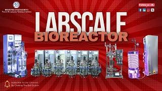 "Exploring Lab-Scale Bioreactors: A Comprehensive Guide"