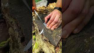 Outdoor Survival Hack: The Fastest Way to Start a Fire in 30 Seconds! #bushcraft #survival