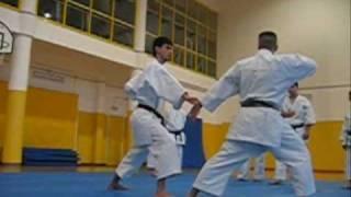 Seipai - Nuno Cardeira (KATA & BUNKAI)