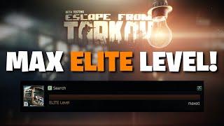 Escape From Tarkov PVE - How To MAX OUT Your Search Skill! How To Get To Elite Level Efficiently!