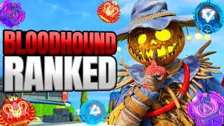 High Level Bloodhound Ranked Gameplay - Apex Legends (No Commentary)