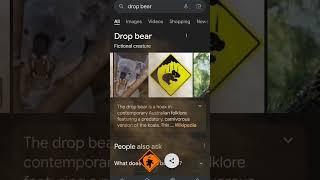 this is the first time drop bear in google... #music #song #lyrics