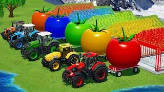 TRACTORS BATTLE & CARS BATTLE WITH GIANT TOMATOES, DIAMONDS AND SHARKS - Farming Simulator 22