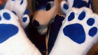 [Furry ASMR] rubbing my Feet paws