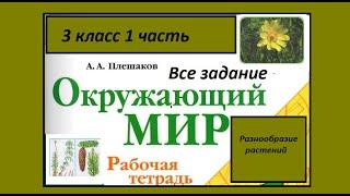 Окружающий мир 3 класс рабочая тетрадь. Разнообразие растений. Все задания