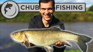 Feeder Fishing For Chub On A Big River