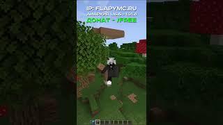 IP: flapymc.ru #funtime #flapymc #reallyworld #анархия