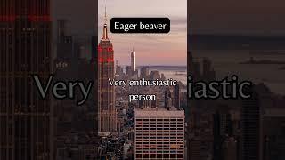 Do you know what EAGER BEAVER means? --- Learn English with Kevin  #learnenglish #funenglish