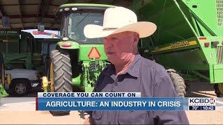 FOCUS ON AG: An industry in crisis