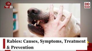 Rabies: Causes, Symptoms, Treatment & Prevention