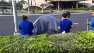 Raid 65 or raid number $480,000 by the Pineapple Glitch on 4-8-2013 8:34 am