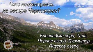 Что посмотреть на севере Черногории, Биоградска гора, каньон Тара, Дурмитор, Пивское озеро