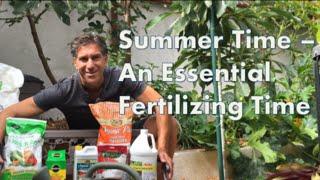 Summer Time -- An Essential Fertilizing Time! Organic vs. Chemical Fertilizer