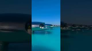 Escape to Elegance at Shebra Resort