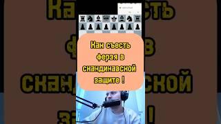 Скандинавская защита #шахматы #chess #chesscom #rawersson #дебют #lichess #гамбит #шахматыобучение