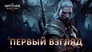 The Witcher 3: Wild Hunt (Ведьмак 3: Дикая Охота) - ПЕРВЫЙ ВЗГЛЯД 1080р*60fps ULTRA SETTINGS