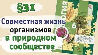 Краткий пересказ §31 Совместная жизнь организмов в природном сообществе. Биология 6 класс Пономарева