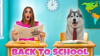 IL PRIMO GIORNO DI SCUOLA DEL MIO CANE - BACK TO SCHOOL 