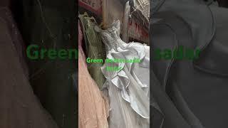 Green market sadar bazar delhi || sadar sunday patri market || sadar sunday market delhi