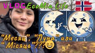 Мысли Вслух, На Ходу/Nº5 - 11.2024/EcoMia Life