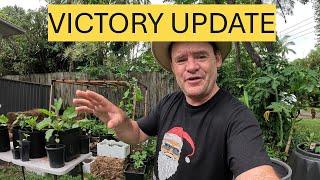 Martys Garden COST OF LIVING Victory Garden Update